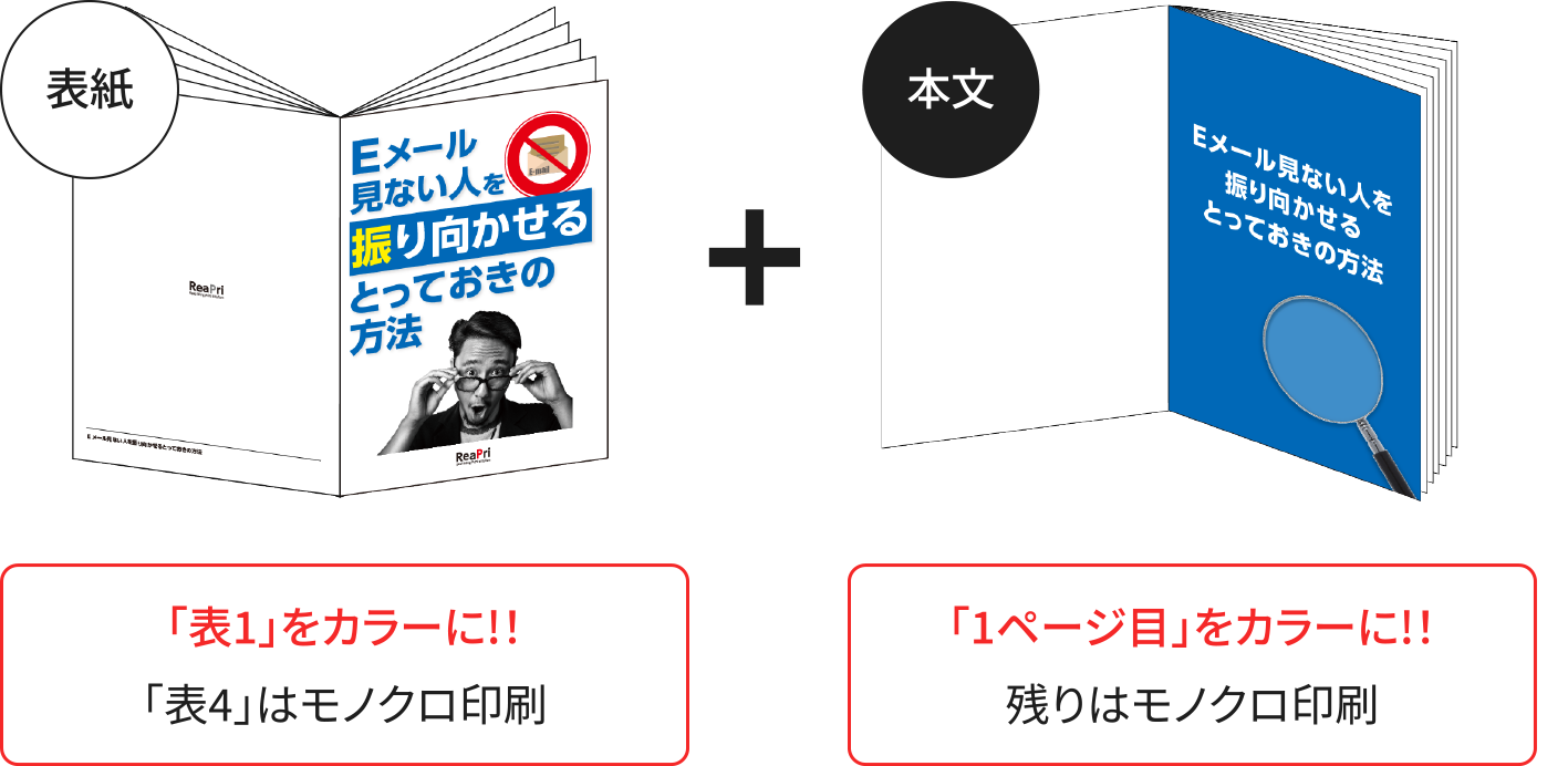 〈表紙1ページ・本文1ページカラー〉