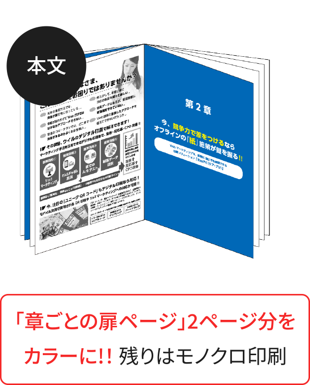 〈本文2ページカラー〉
