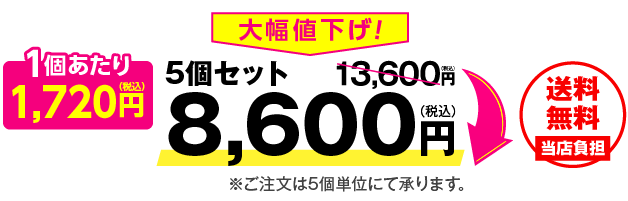 5個セット 8,600円(税込)