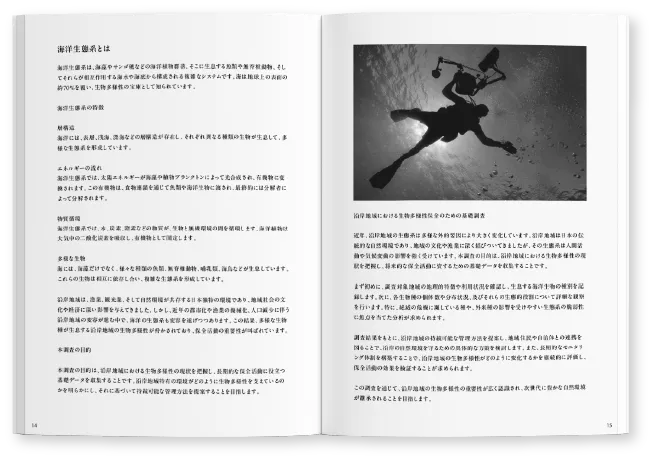 報告書