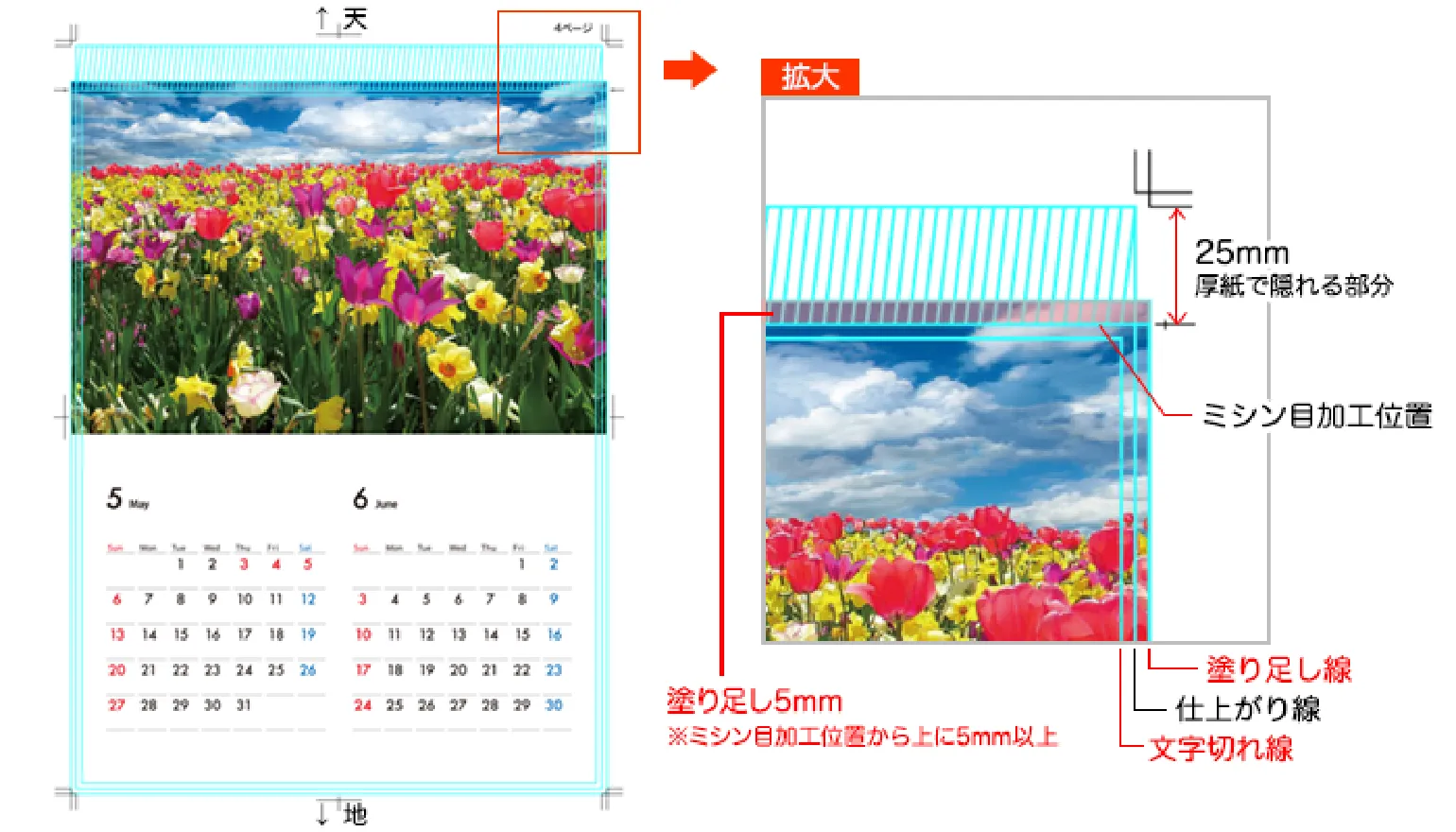 塗り足しの説明